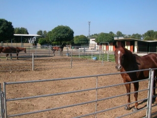  La escuela de equitación 